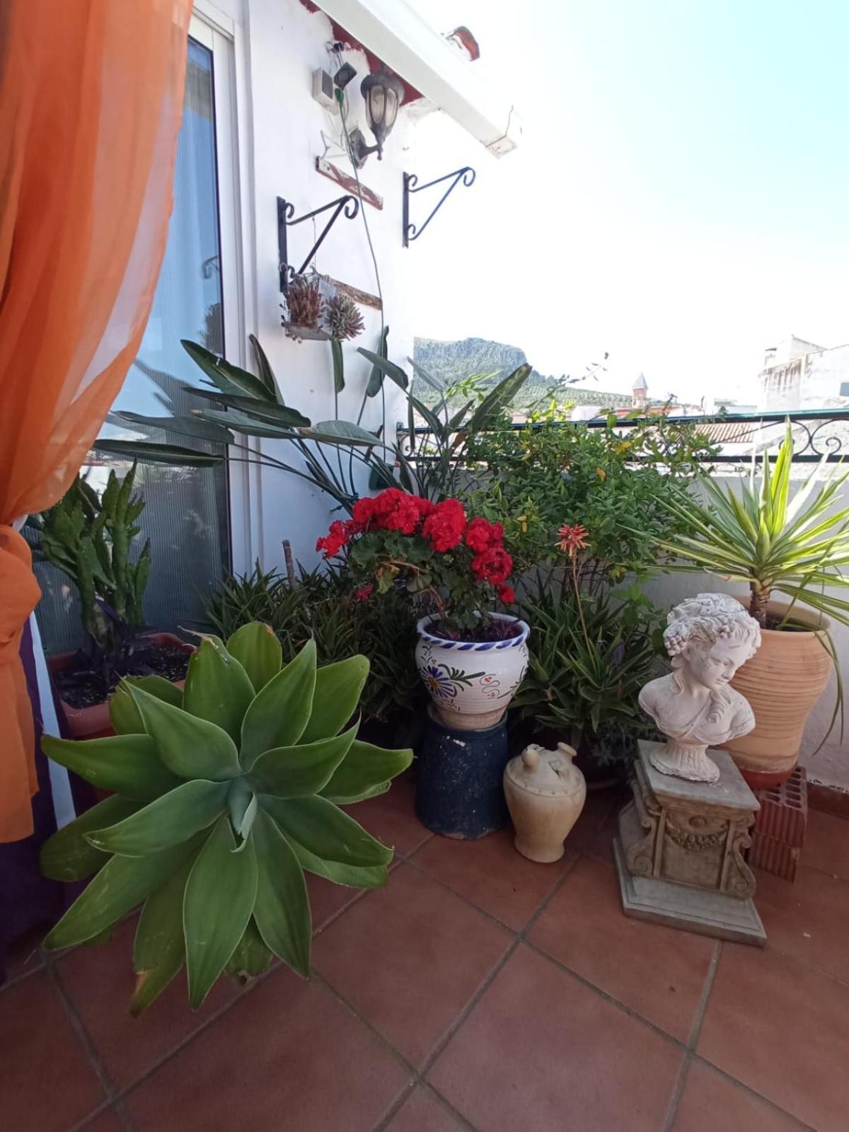 Hostal R-Conecta Cuevas De San Marcos Luaran gambar